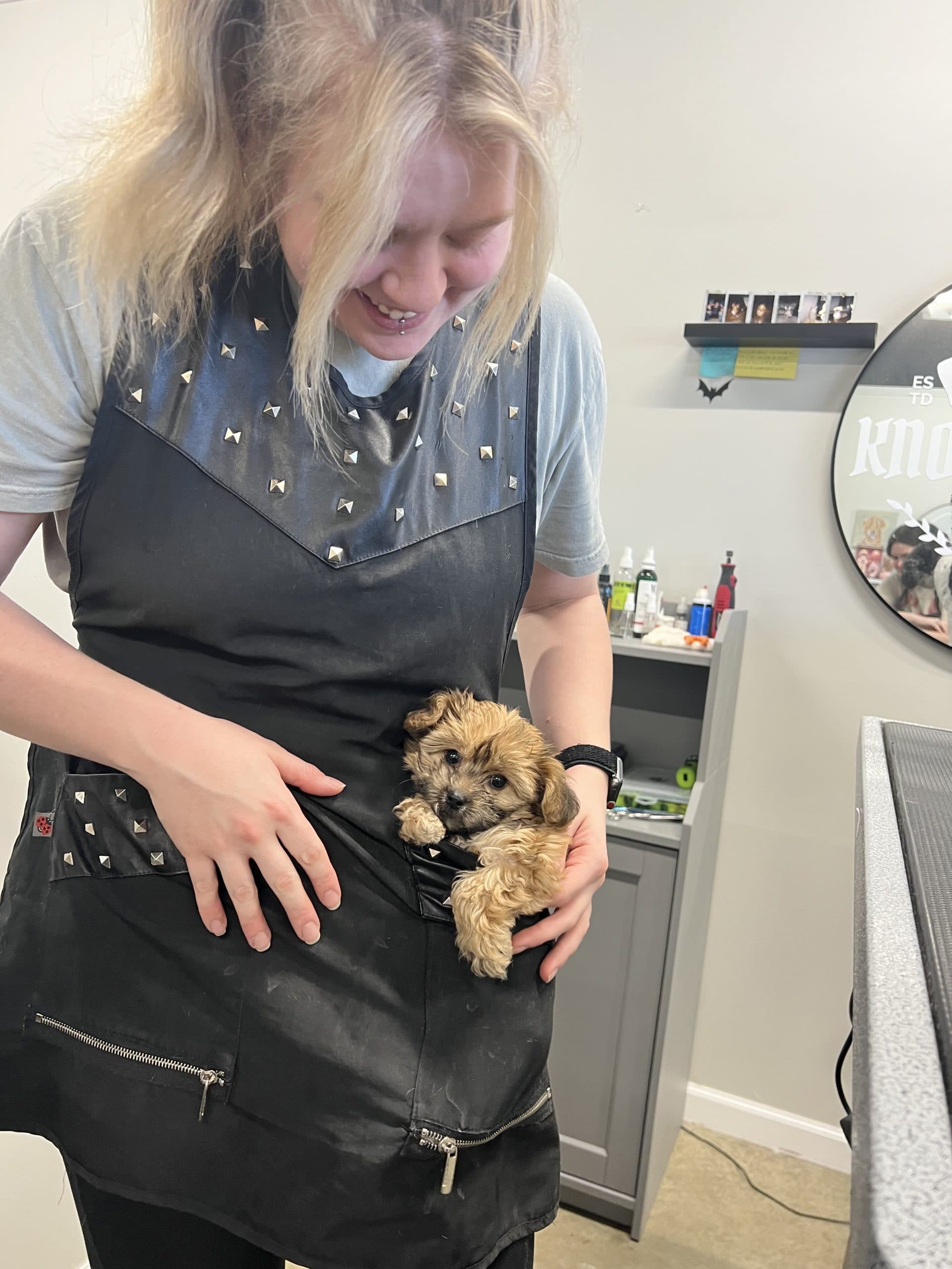 Groomer holding small puppy