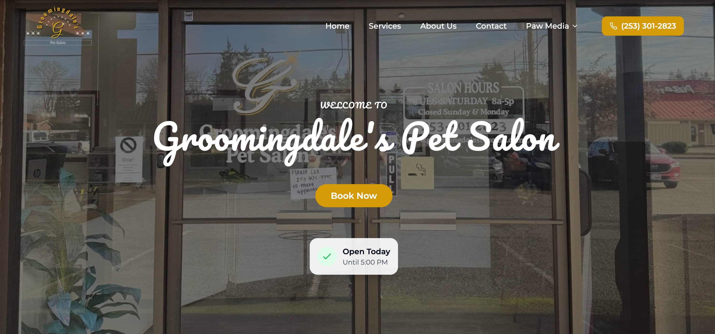 Cat grooming background